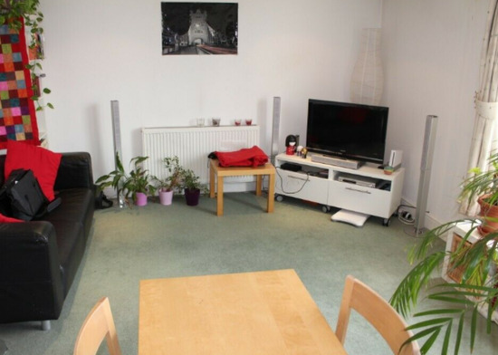 CR2 - Newly Decorated, Cosy, Bright, Quiet One Bed Flat  5