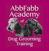 Abbfabb Academy Of Dog Grooming Training  0
