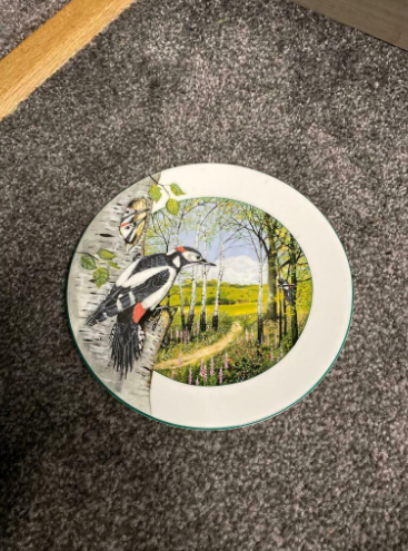 Decorative / Collectors Woodpecker Plate  0