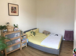Homely One Bedroom Flat in Canonmills thumb-49117