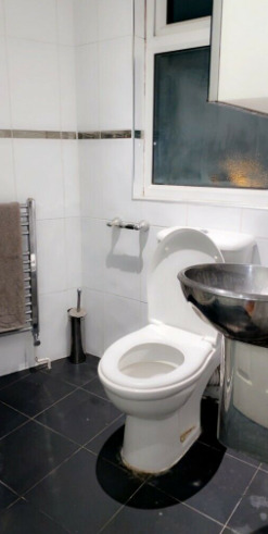 A Lovely Ensuite Room in Canning Town  6