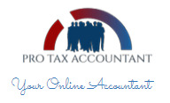 Pro Tax Accountant  0