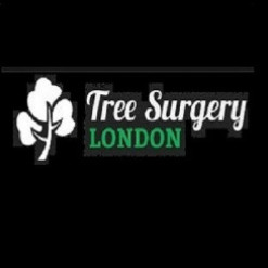 Tree Surgery London 