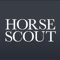 Horse Scout