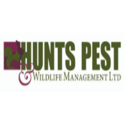 Hunts Pest Wildlife Management ltd