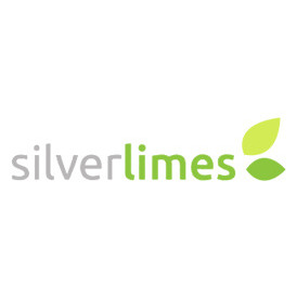 Silver Limes (Intelligent Networks Limited)