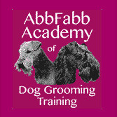 Abbfabb Academy Of Dog Grooming Training
