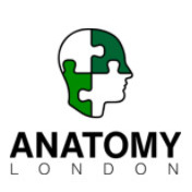 Anatomy Property Consultants Limited
