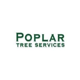 Poplar Tree Service 