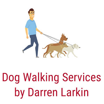 Dog Walking Services by Darren Larkin