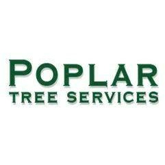 Poplar Tree Service - Arborist in Derby
