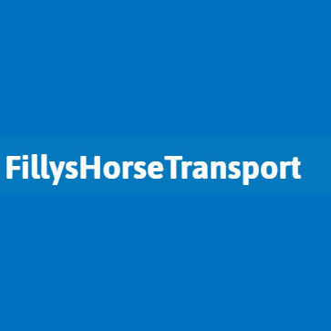 Fillys Horse Transport