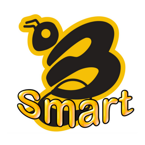 BSmart Phone Repairs