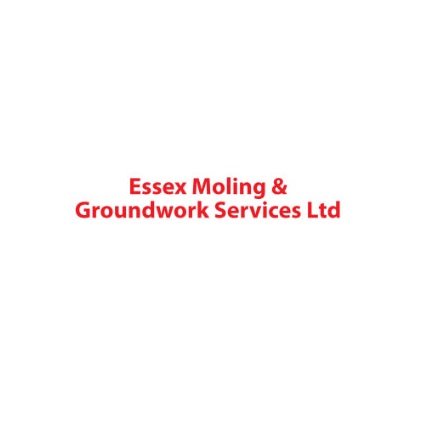 Essex Moling And Groundwork Services Ltd