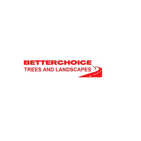 Betterchoice Trees and Landscapes