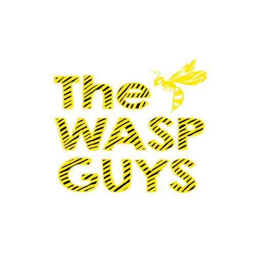 Wasp and Hornets Nests Removal Surrey - The Wasp Guys