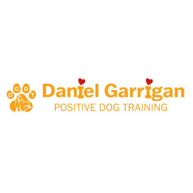 Daniel Garrigan Dog Training