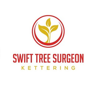 Swift Tree Surgeon Kettering